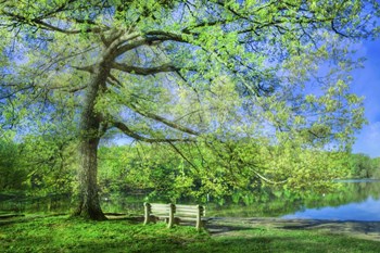 I Will Wait for You in Summer by Celebrate Life Gallery art print