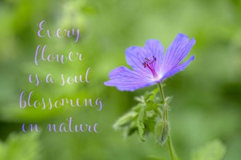 Blossoming Soul by Cora Niele art print