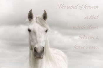 Wind Of Heaven by Cora Niele art print