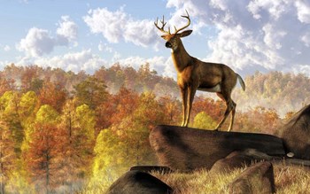 Buck Over Autumn Valley by Daniel Eskridge art print