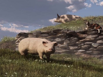 Free Range Pigs by Daniel Eskridge art print