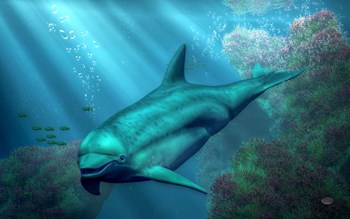 Smiling Dolphin by Daniel Eskridge art print