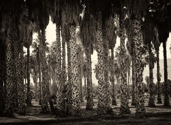 Mecca by Geoffrey Ansel Agrons art print