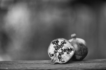 Picnic With Persephone Redux by Geoffrey Ansel Agrons art print