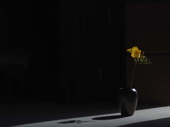 Void (Still Life in Moonlight) by Geoffrey Ansel Agrons art print