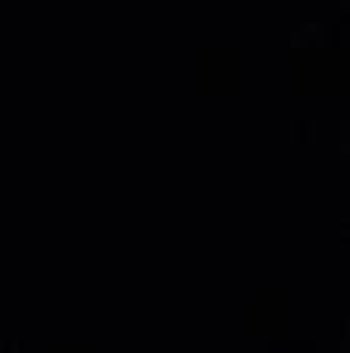 Prince 3 by Howie Green art print