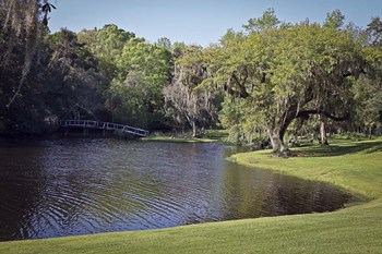 Middleton Place 4, SC by J.D. McFarlan art print