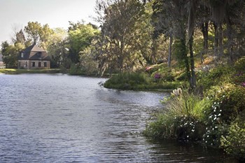 Middleton Place 5, SC by J.D. McFarlan art print