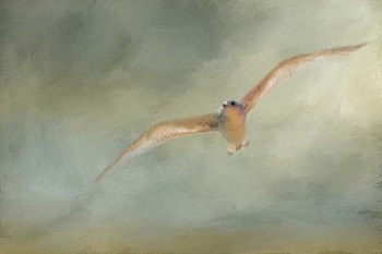 A Day At The Beach 1 by Jai Johnson art print