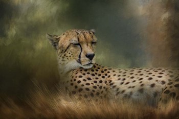 Napping In The Brush by Jai Johnson art print