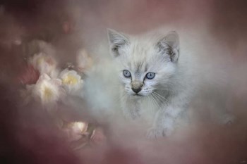 A Sweet Moment 3 by Jai Johnson art print