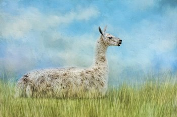 Just Chillin by Jai Johnson art print