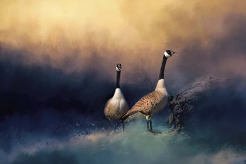 Stranded by Jai Johnson art print