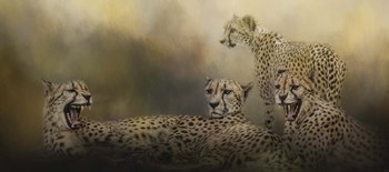 The Coalition by Jai Johnson art print