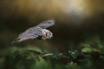A Night With The Great Horned Owl 1 by Jai Johnson art print
