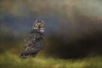 A Night With The Great Horned Owl 4 by Jai Johnson art print