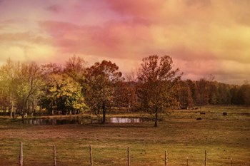 Autumn At The Cattle Farm by Jai Johnson art print