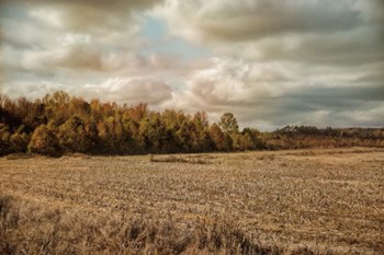Autumn In The Country by Jai Johnson art print