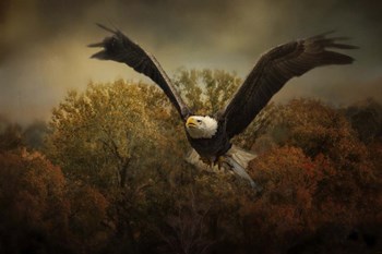 Fall Fishing by Jai Johnson art print