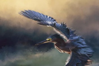 Flight Of The Green Heron 2 by Jai Johnson art print