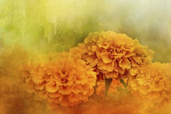 Fresh Autumn Flowers by Jai Johnson art print
