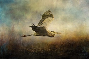 Low Flyer by Jai Johnson art print