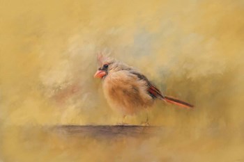 Morning Blessing by Jai Johnson art print