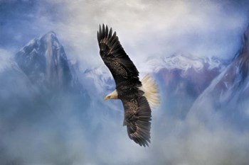 Soaring by Jai Johnson art print