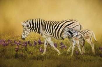 Through The Meadow by Jai Johnson art print