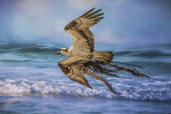 Treasures For The Nest by Jai Johnson art print