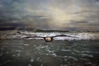 Victory by Jai Johnson art print