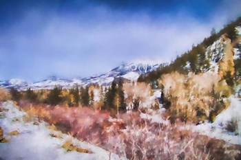 Winter Beginnings In Colorado by Jai Johnson art print