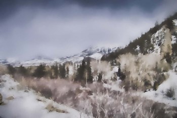 Winter Impressions In Colorado 2 by Jai Johnson art print