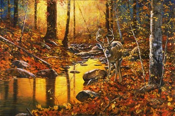 Close Encounter by Jim Hansel art print