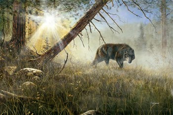 Eyes In The Mist by Jim Hansel art print