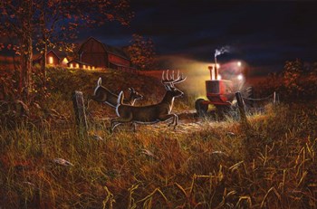 Field Of Dreams 2 by Jim Hansel art print