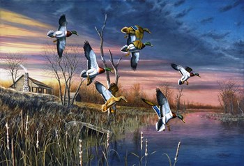 Final Approach by Jim Hansel art print