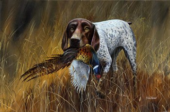 German Short-Hair by Jim Hansel art print