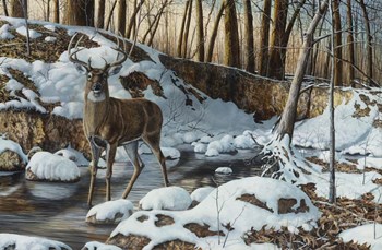 River Bottom Buck by Jim Hansel art print
