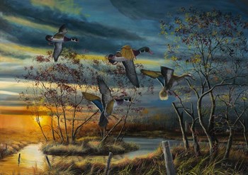 Autumn Splendor by Jim Hansel art print