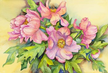 Peonies in Early Light by Joanne Porter art print
