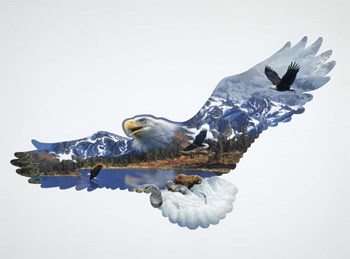 The Eagle by John Van Straalen art print