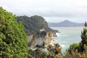 New Zealand 4 by Karen J. Williams art print