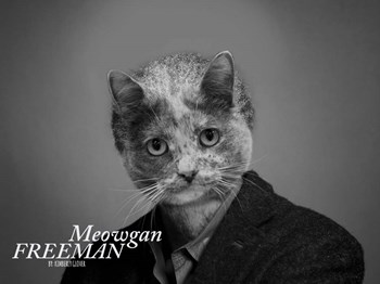 Meowgan Freeman by Kimberly Glover art print