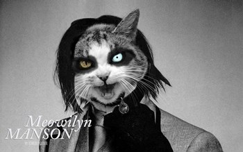Meowilyn Manson by Kimberly Glover art print