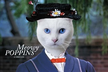 Meowy Poppins by Kimberly Glover art print