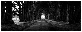 Light at the End of the Tunnel by Lance Kuehne art print