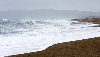 Spring at the Beach by Lance Kuehne art print