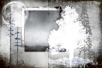 July Tree 7 by LightBoxJournal art print