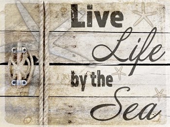 Country Sea Sign 3 by LightBoxJournal art print